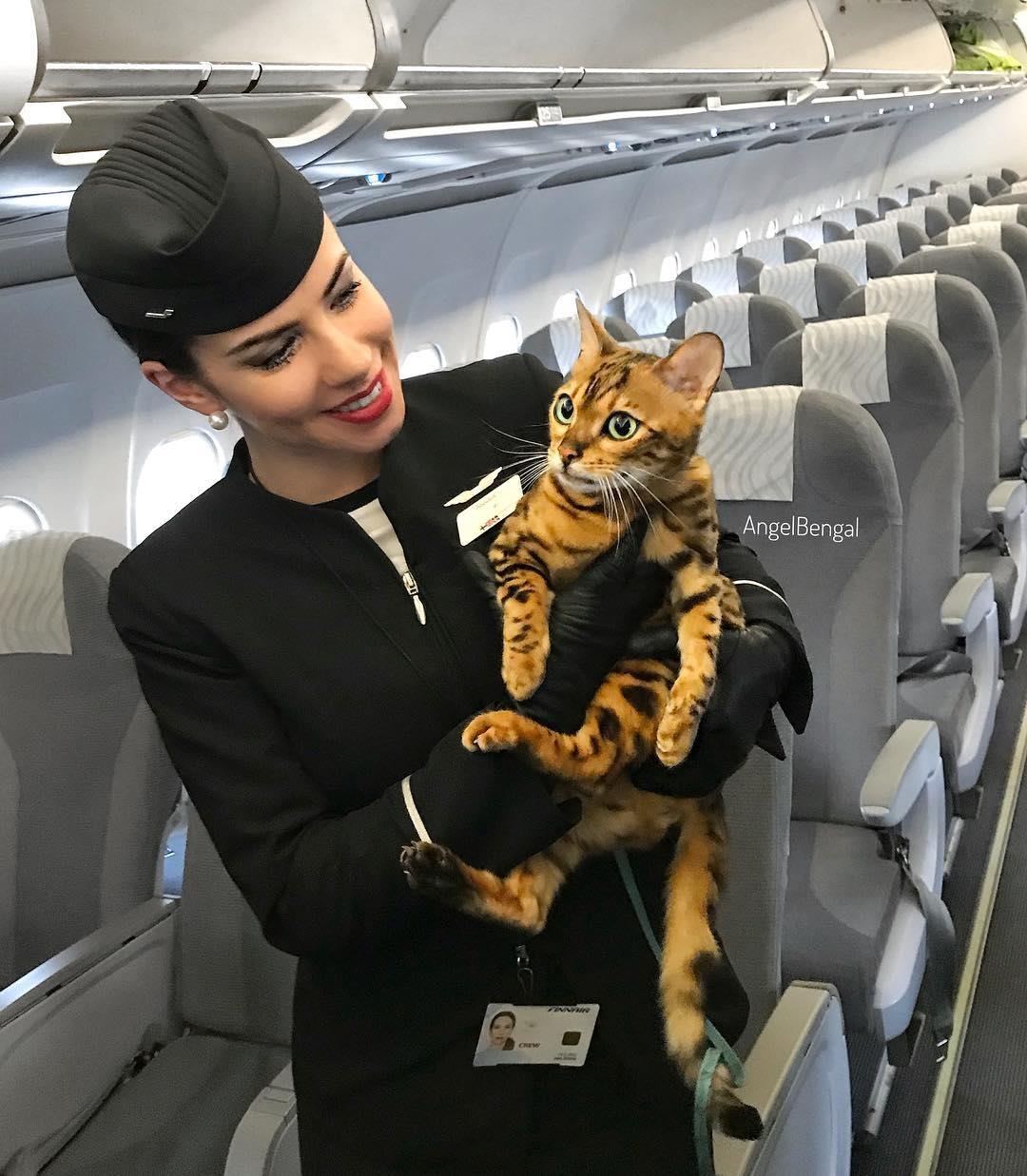 co gai va chu meo di du lich anh 7