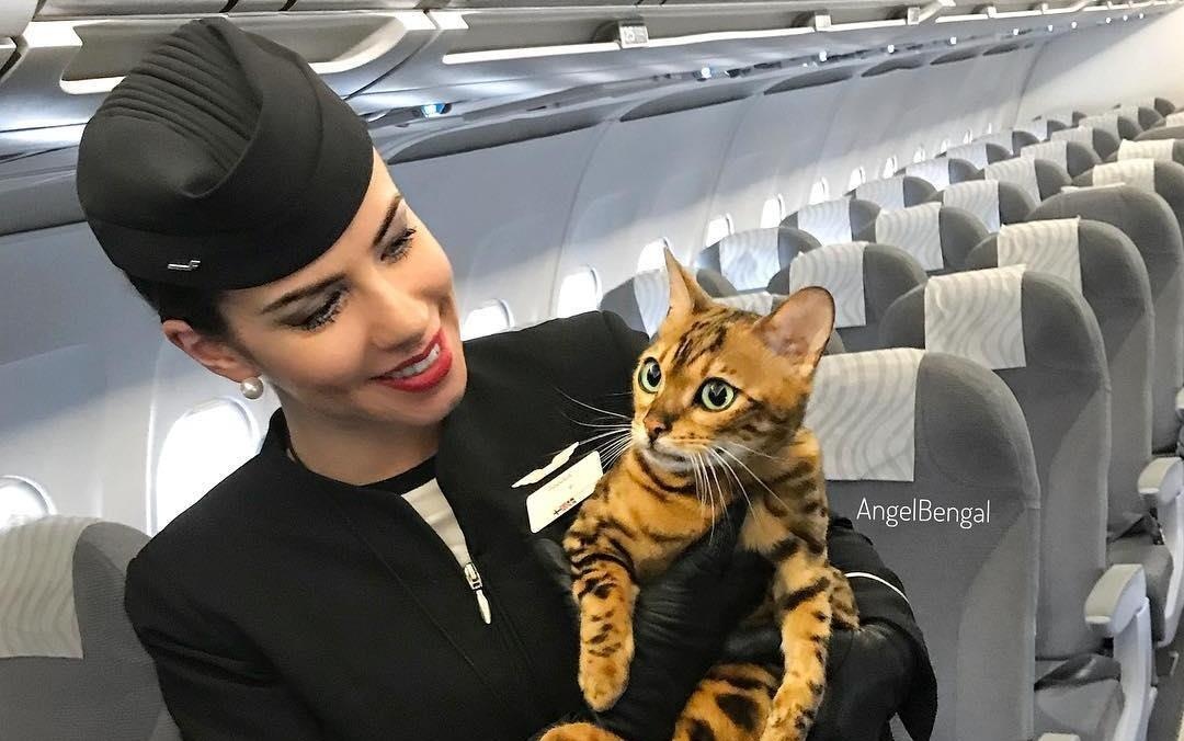 Cap 'sen va boss' khien dan mang ghen ty khi di du lich khap noi hinh anh