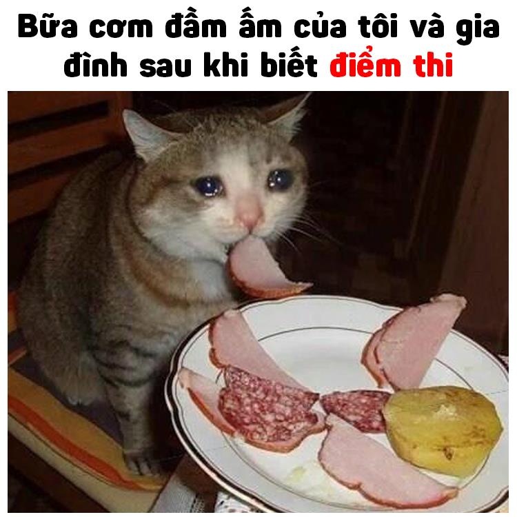 ket qua thi thpt quoc gia 2019 anh 2