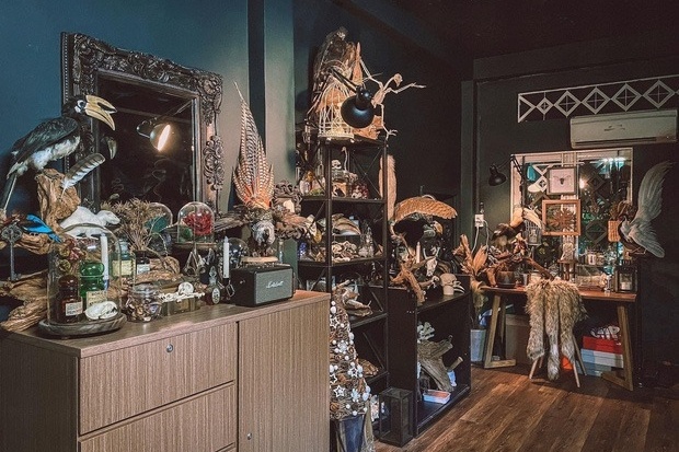 Trang trí nhà ảnh 3 Trang tri nha anh 3