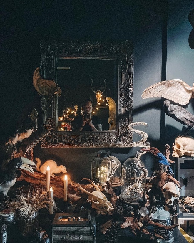 Trang trí nhà ảnh 5 Trang tri nha anh 5