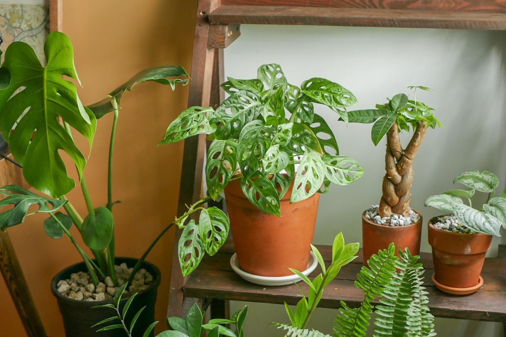 chi tien de sua nha anh 8