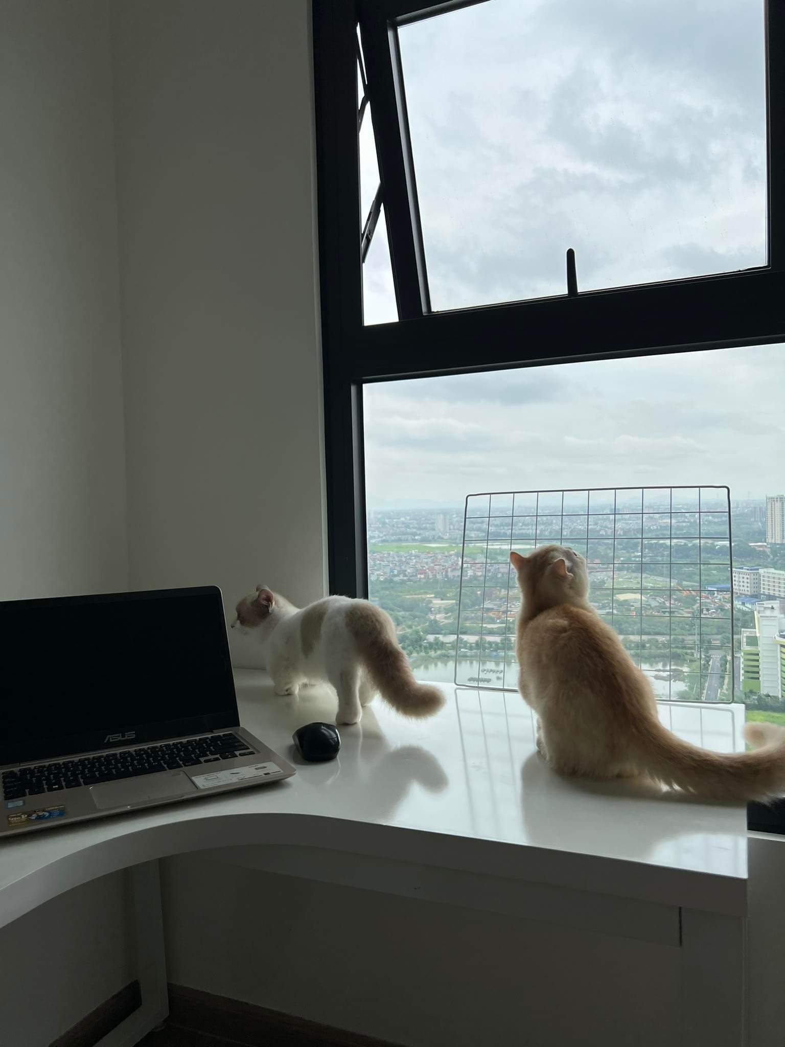 nguoi tre song mot minh anh 4