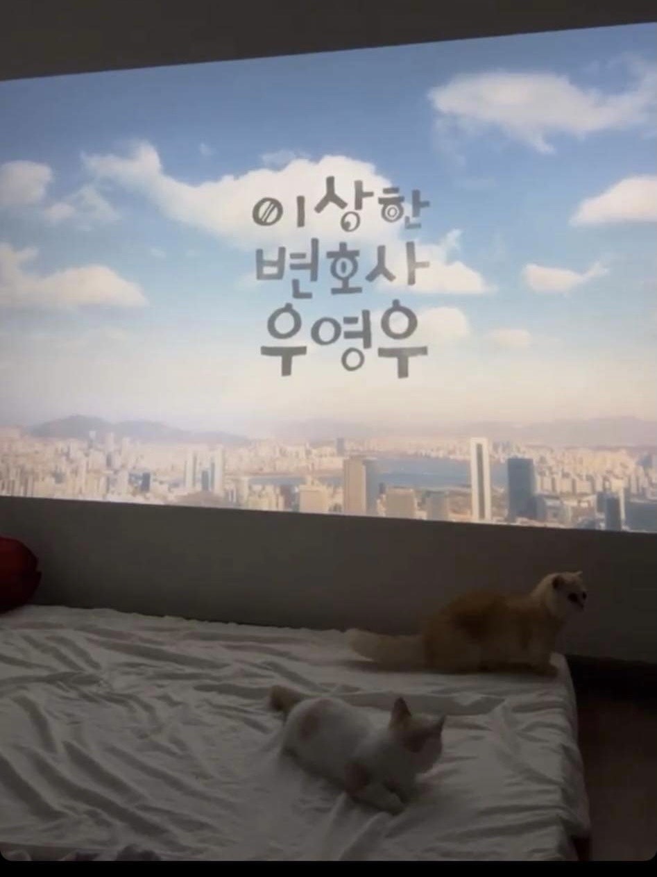 nguoi tre song mot minh anh 3