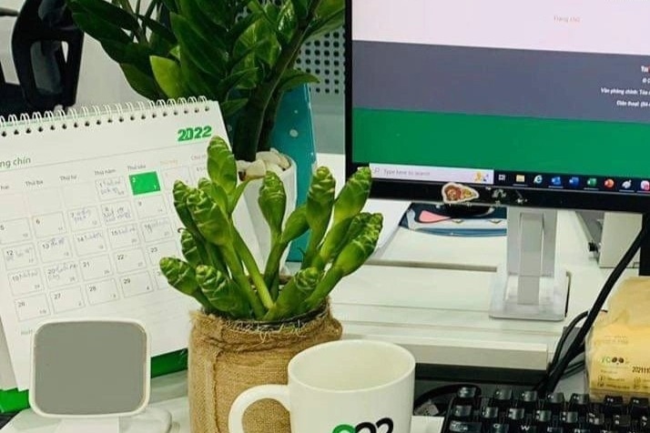 trang tri goc lam viec anh 7