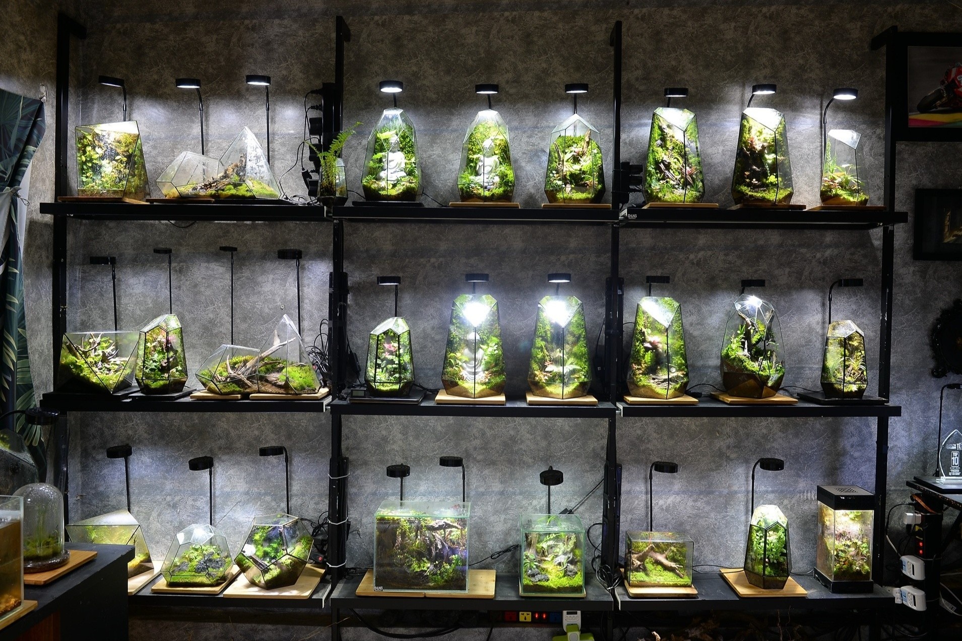 Thu choi 'long kinh xanh' cua gioi tre hinh anh