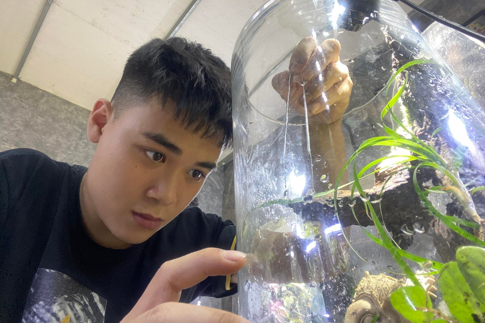 terrarium anh 2