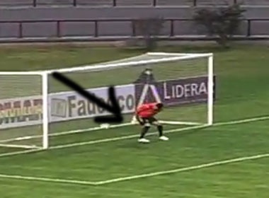 Thu mon de bong lot hang khien doi nha om han hinh anh