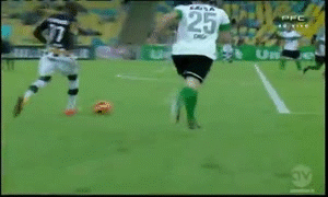 Sieu pham solo qua ca hang phong ngu hinh anh