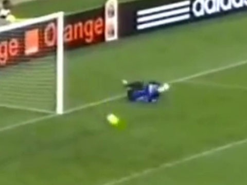 Pha na dai bac tu khoang cach gan 40m hinh anh