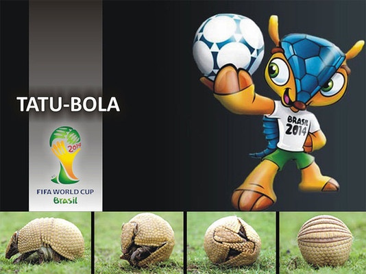 Fuleco - linh vật chính thức được sản xuất bởi Kayford Holding Ltd, một công ty có trụ sở tại Hàng Châu. Công ty này được cấp phép toàn quyền sản xuất mascot, tượng và các sản phẩm liên quan đến hình ảnh llinh vật. Ảnh: Chinese Daily.
