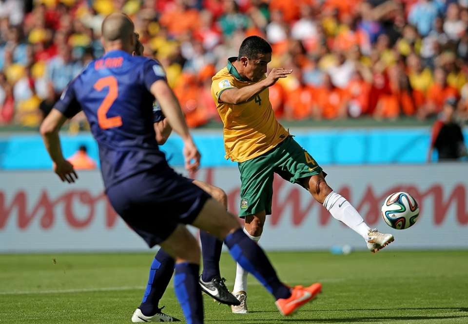 Tim Cahill và các đồng đội đang thể hiện phong độ đầy bất ngờ. Ảnh: Daily Mail.