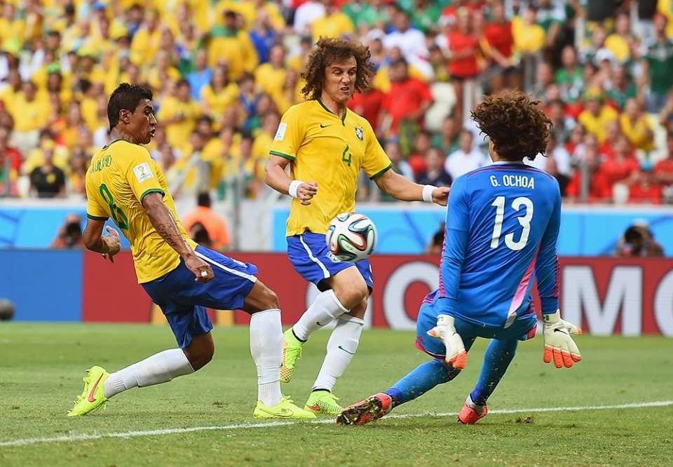 Hai chàng tóc xù gặp nhau.