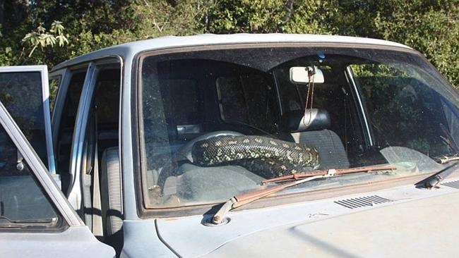 Tran dai 3 m o trong xe oto suot 5 ngay hinh anh