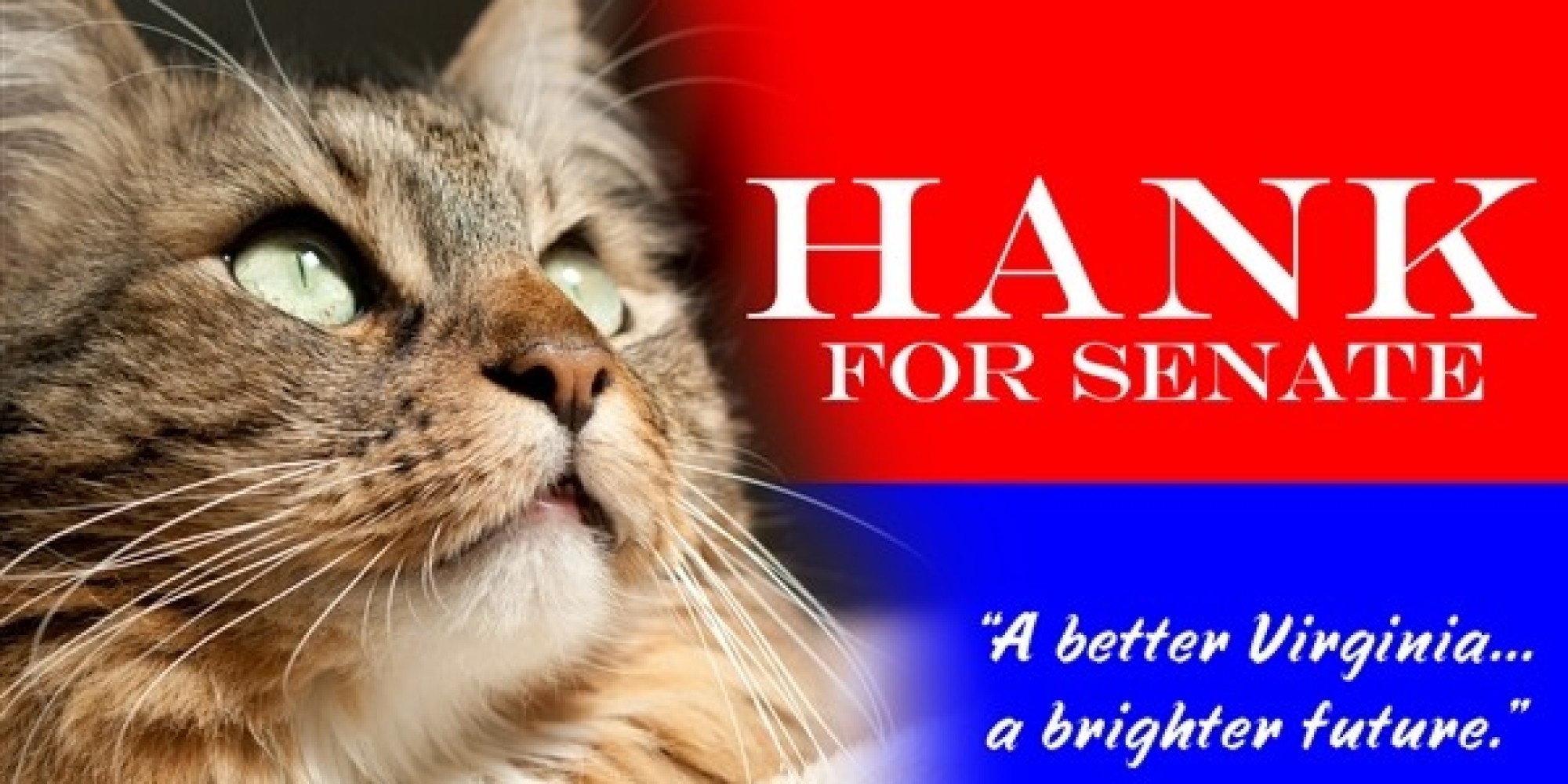 Một tấm áp phích với hình ảnh mèo Hank trong chiến dịch tranh cử vào Thượng viện tại bang Virginia vào năm 2012. Ảnh:
