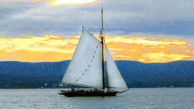 Tau co bi an duoi hien truong vu khung bo 11/9 o My hinh anh