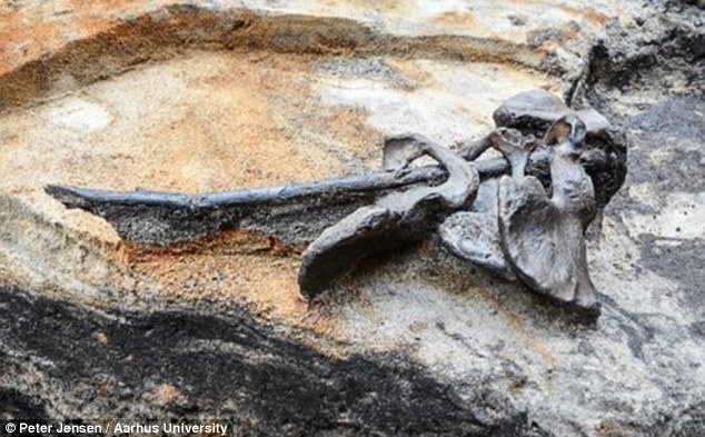 Phat hien xuong nguoi bi tra tan ky quai hinh anh