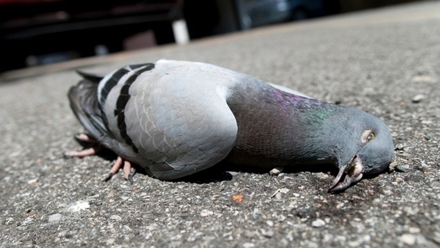 Ảnh minh họa: Corbis