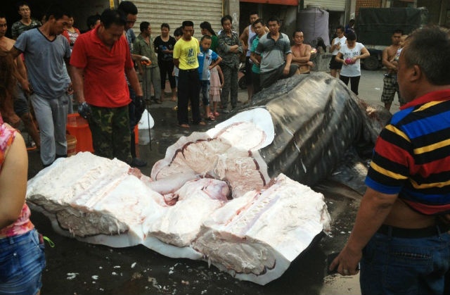 'Quai vat bien' bi xe thit o Trung Quoc hinh anh