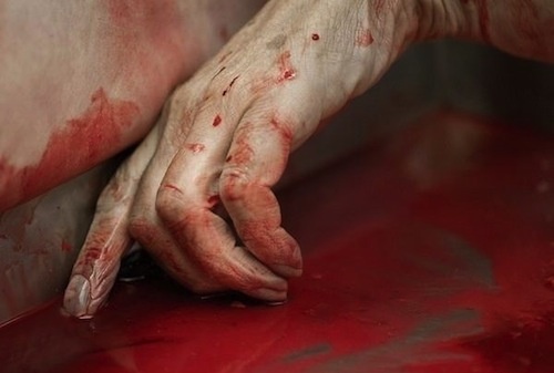 Hanh trinh truy tim hung thu giau xac trong vali o My (ky 1) hinh anh