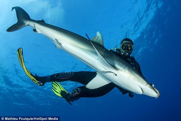 Xoa mui dan 'sat thu dai duong' de thuan hoa hinh anh