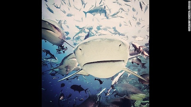 Nhiep anh gia boi giua 200 ca map hinh anh