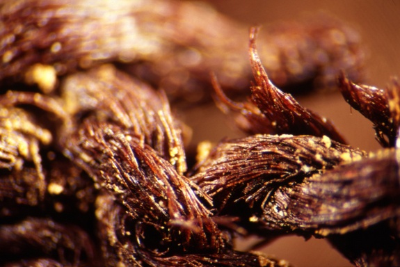 Bi mat trong vai boc xac uop cua nguoi Ai Cap co dai hinh anh