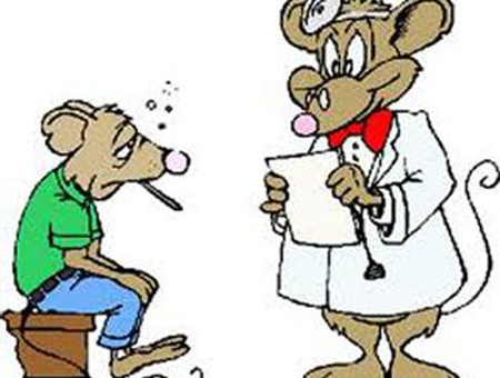 Mang can nuoc tieu de kham benh cho ca ho hinh anh