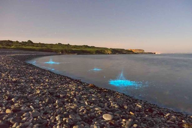 Phat hien sinh vat phu du ngoai vu tru hinh anh