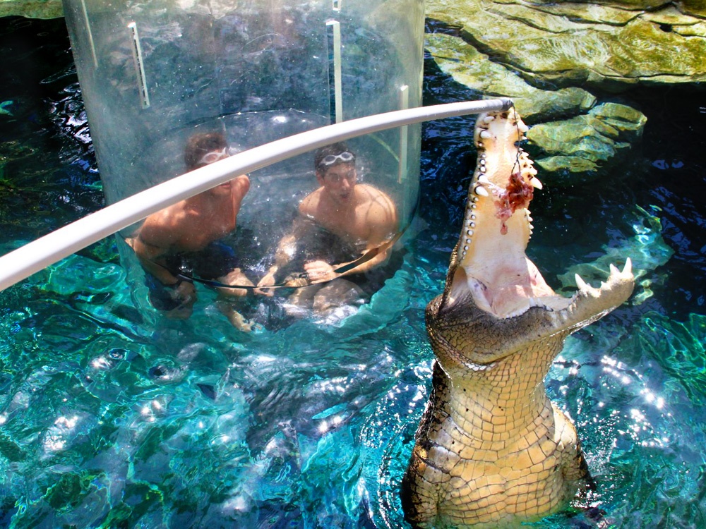 Doi mat ca sau khong lo bang long trong suot hinh anh