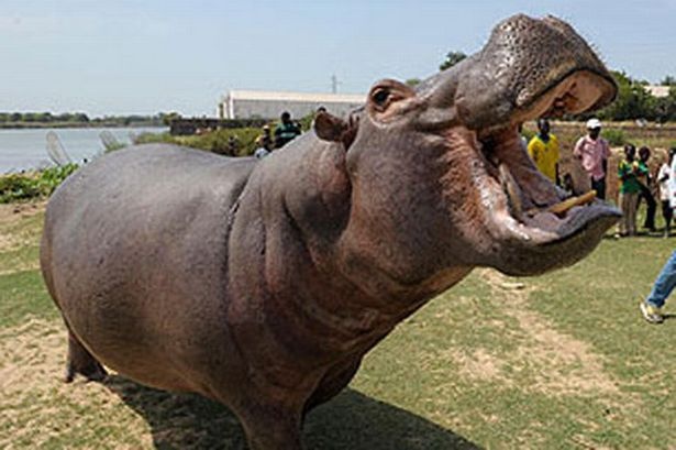 10 nguoi mat mang vi xac ha ma tren duong hinh anh