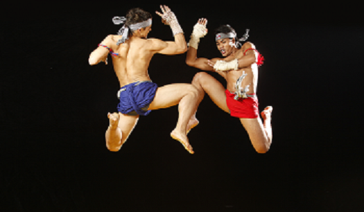 Các chiêu thức trong Bokator mô tả sự di chuyển của động vật. Ảnh: Khmerfight