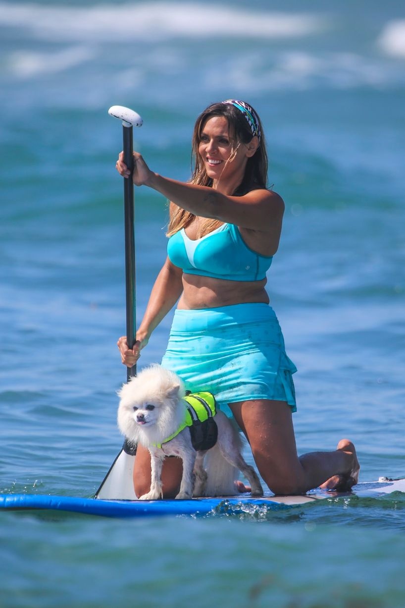 Những chú chó tham gia cuộc thi được chủ nhân của chúng mặc cho những trang phục rực rỡ, đáng yêu.