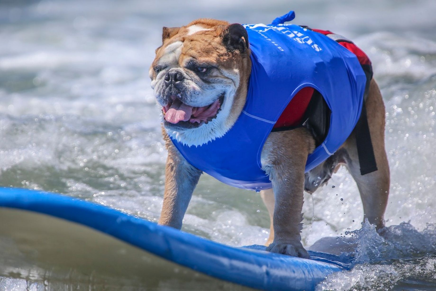 Mặc áo phao, các thí sinh đặt biệt này tỏ ra tự tin và không sợ sóng biển.