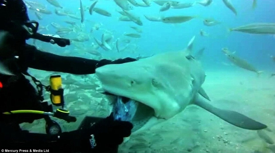 Tho lan My dut moi va vuot ve ca map ho hinh anh