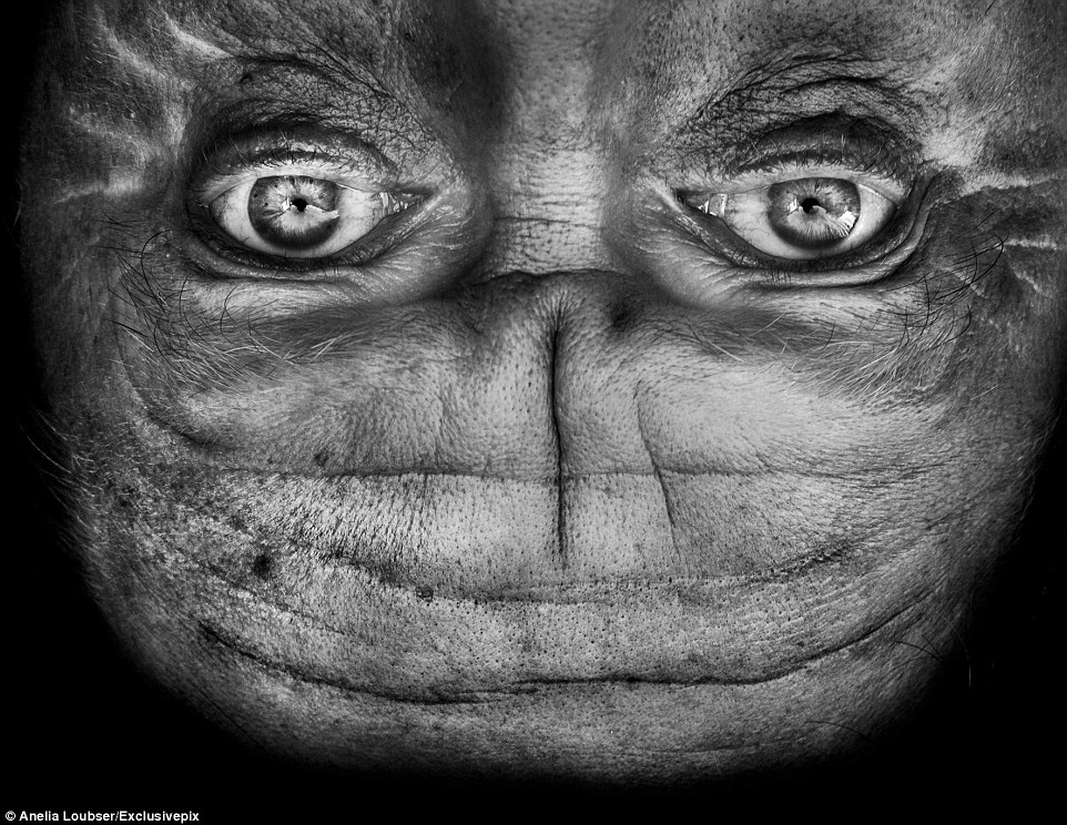 Bức chân dung giống sinh vật trong loạt phim Predator nổi tiếng của đạo diễn John McTiernan khiến người xem liên tưởng đến một người ngoài hành tinh hiếu chiến.