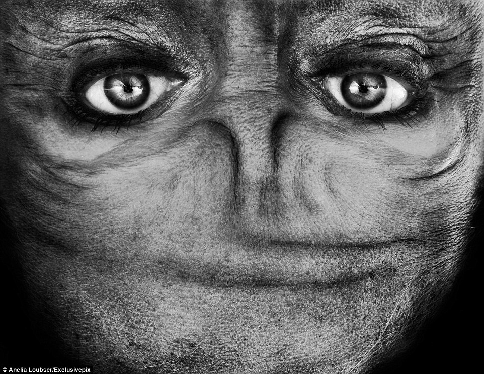 Người bạn ngoài hành tinh này dường như đang gặp vấn đề - anh ta không có miệng để gọi điện về nhà.