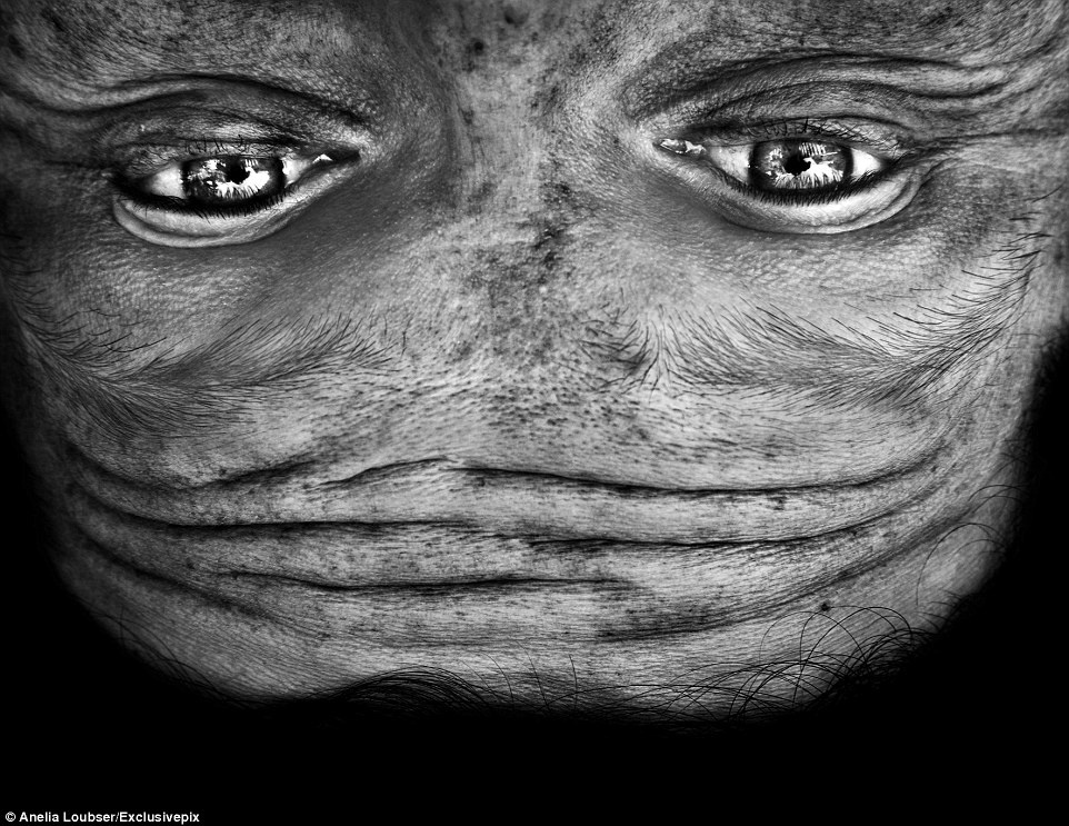 Loubser khéo léo cắt xén và phối màu tối để tạo ra tầm nhìn khác biệt đối với những hình ảnh quen thuộc.