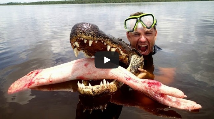 Gia vo bi ca sau an thit hinh anh