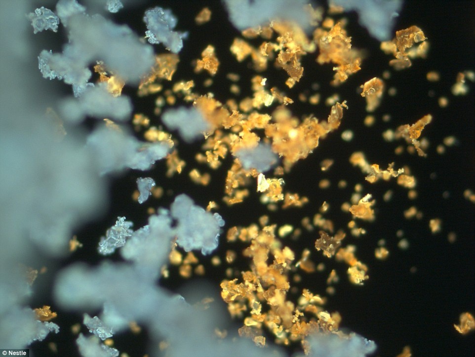 Nhung hinh anh tuyet dep cua thuc an duoi kinh hien vi hinh anh