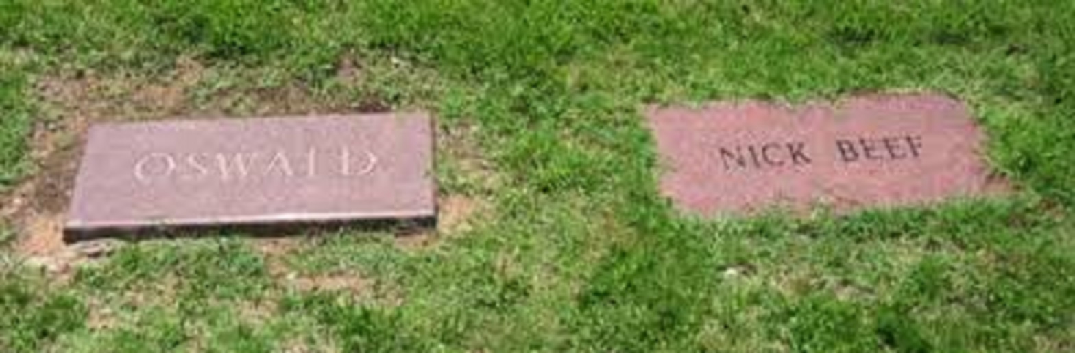 Bia mộ khắc bút danh của một nhà văn tự do khiến nhiều người tranh cãi. Ảnh: Examiner