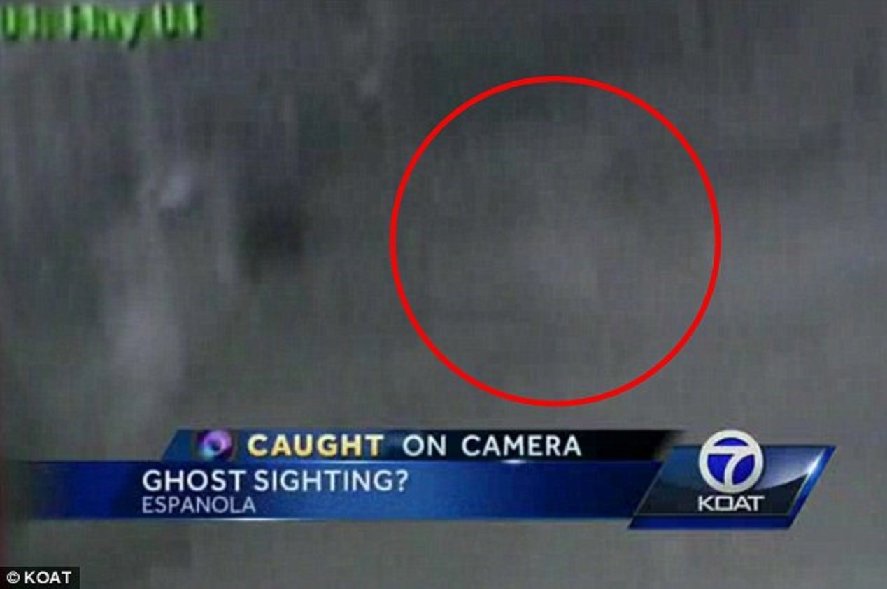 Ông khẳng định đó là loài sinh vật tương tự ma.