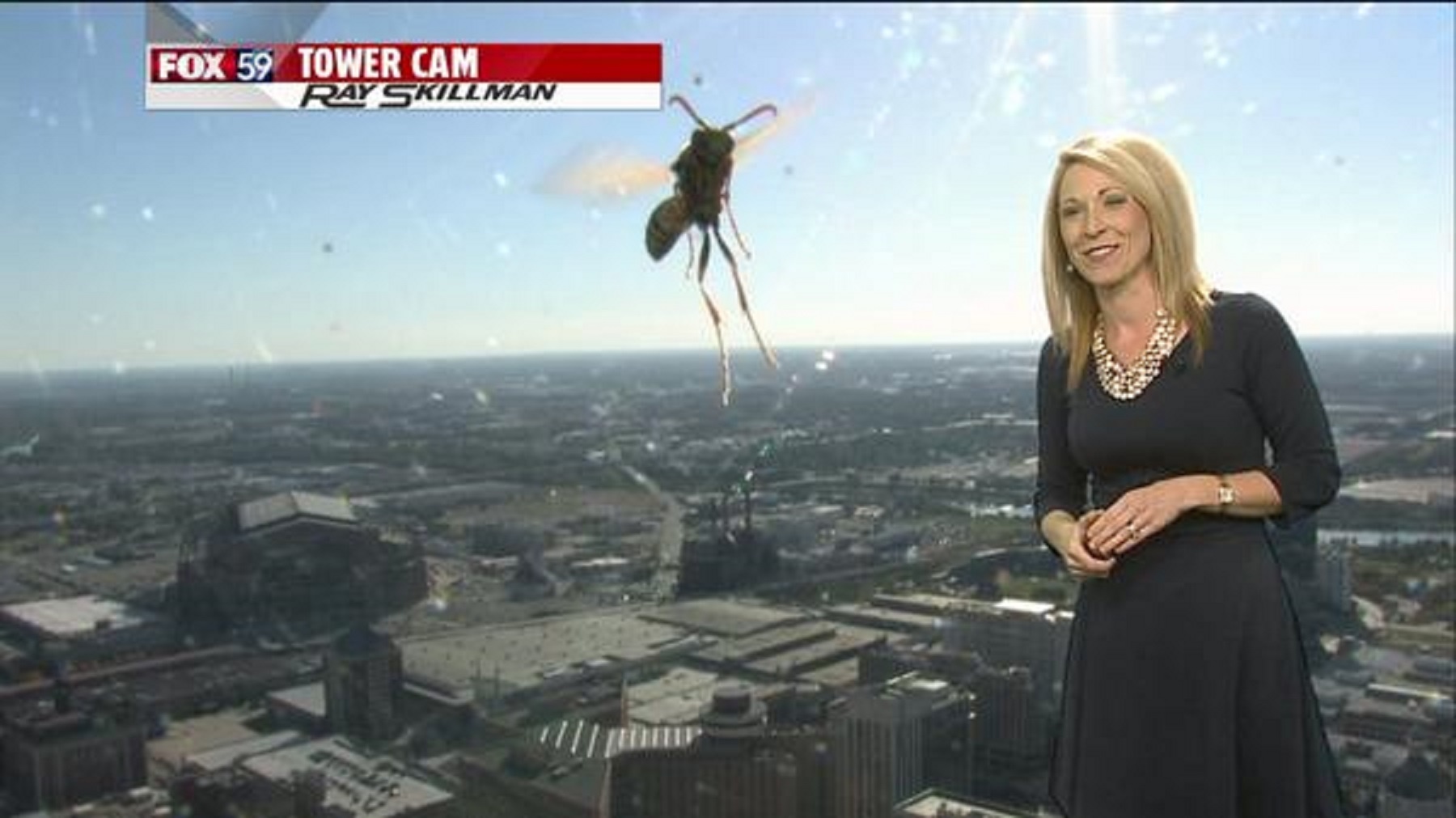 Nguoi dan chuong trinh chay vi so ong hinh anh