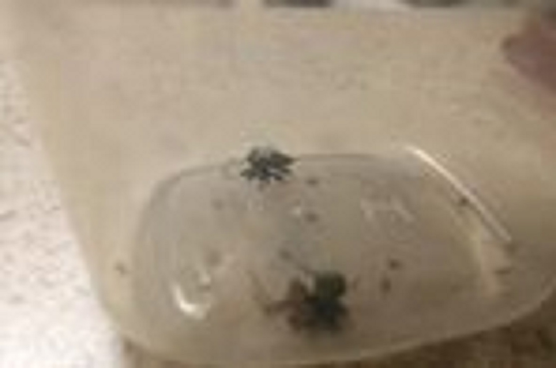 Nhen no tung de giai phong dan con khi doi thu tan cong hinh anh