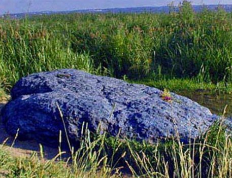 Tang da ky la chuyen mau xanh khi troi mua hinh anh