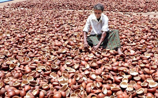 Nhóm nghiên cứu phát hiện ra rằng