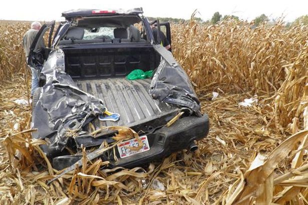 Chiếc xe bán tải hư hỏng nặng sau khi lao xuống ruộng ngô. Ảnh: Mirror