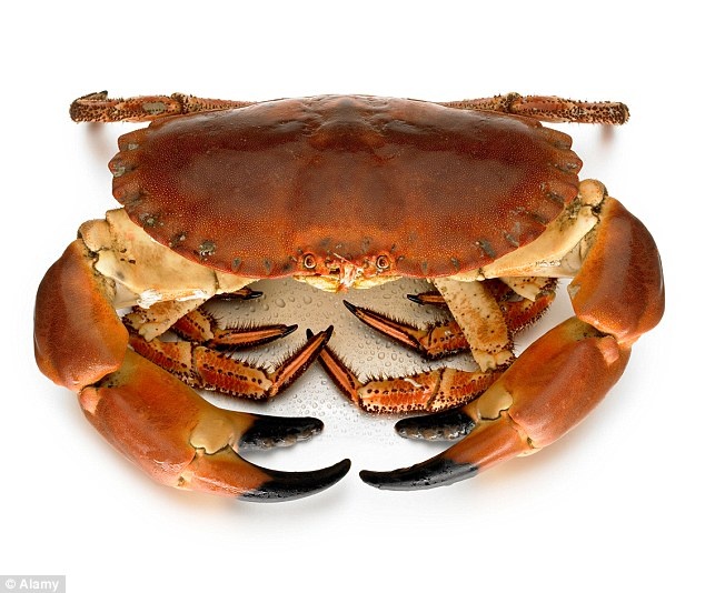 Giai ma bi an cua khong lo tai Anh hinh anh