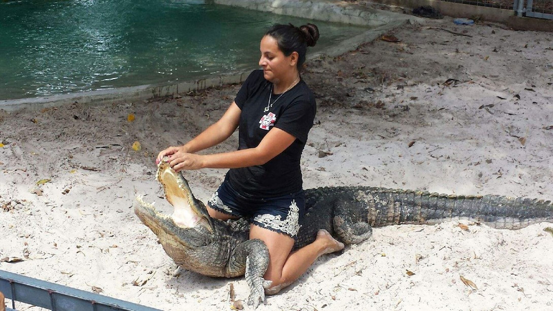 Martha Rivera là một phụ nữ chuyên vật cá sấu để phục vụ du khách trong một trung tâm bảo vệ động vật hoang dã ở thành phố Homestead, ở bang Florida, Mỹ.