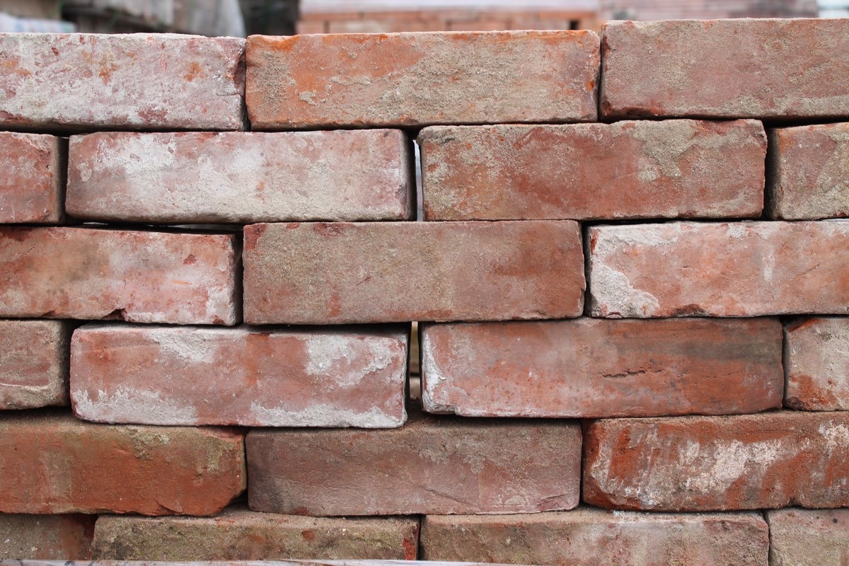 Ly luan cua ke luoi nhung thong minh hinh anh